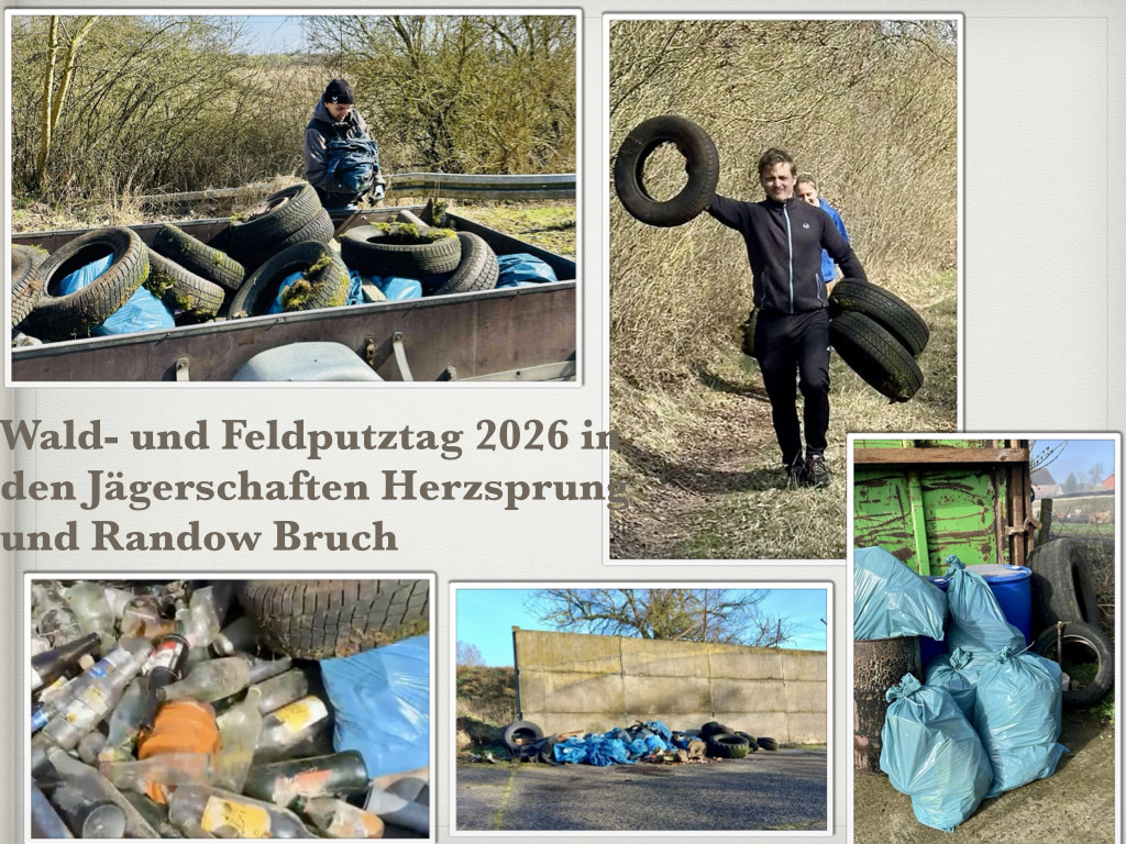 Feld- und Waldputztag der Jägerschaft Herzsprung